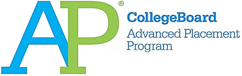 480 students honored with AP Scholar Awards